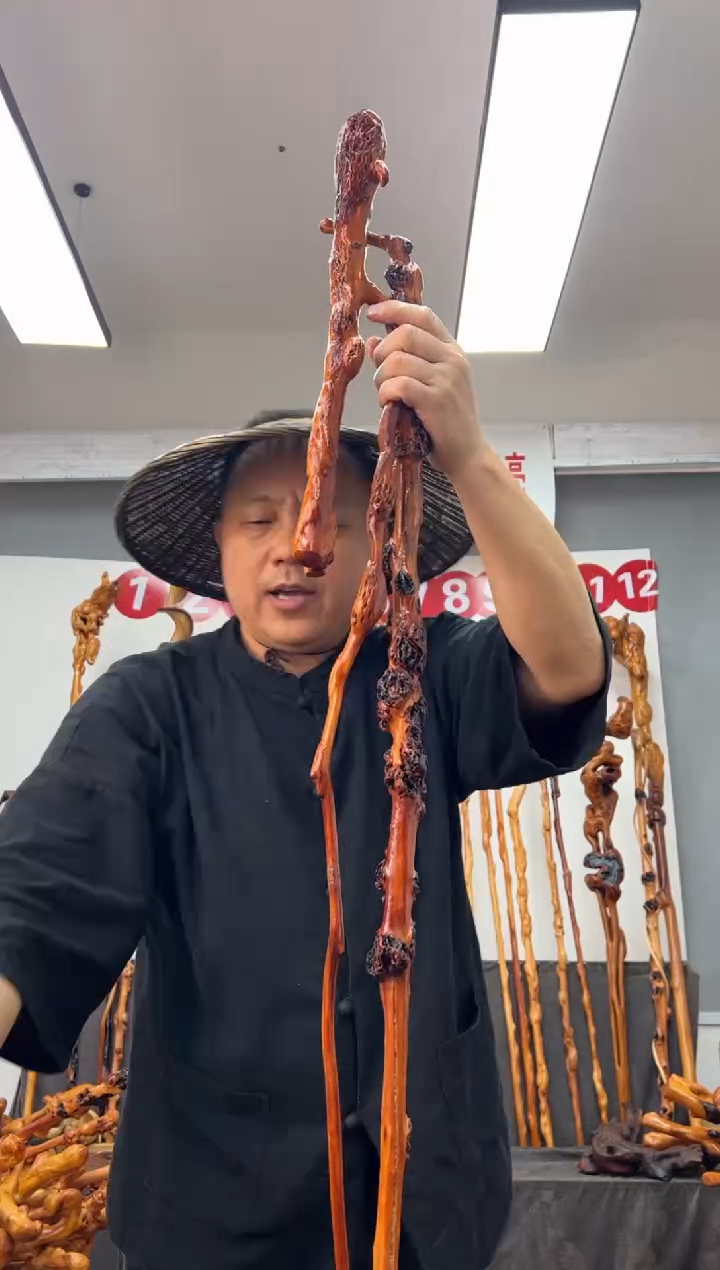黑果木其他黑果木422
