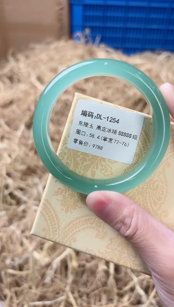 未镶嵌手镯石英质玉DL-1254
