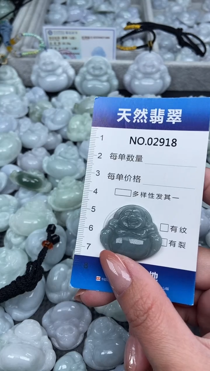 颈饰未镶嵌翡翠纯天然A货翡翠2918