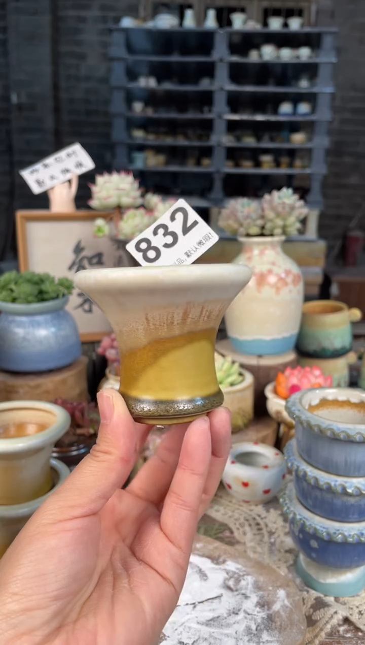 瓷片832知木小芳花盆直播编号