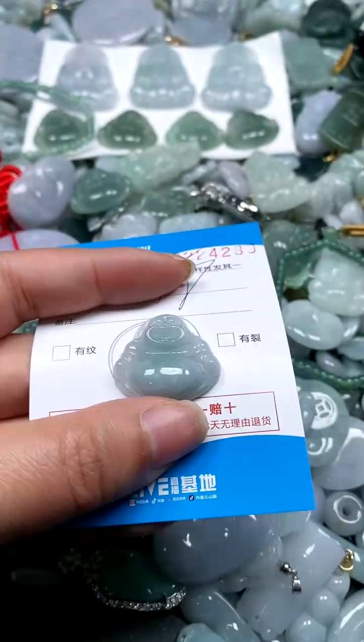 【闪购商品】翡翠颈饰未镶嵌闪购商品0224289