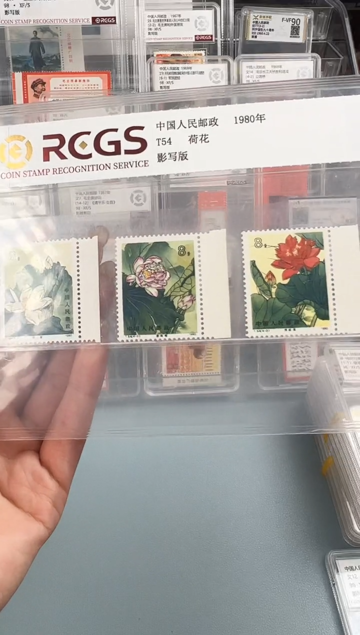 邮**流T54荷花带边纸一套