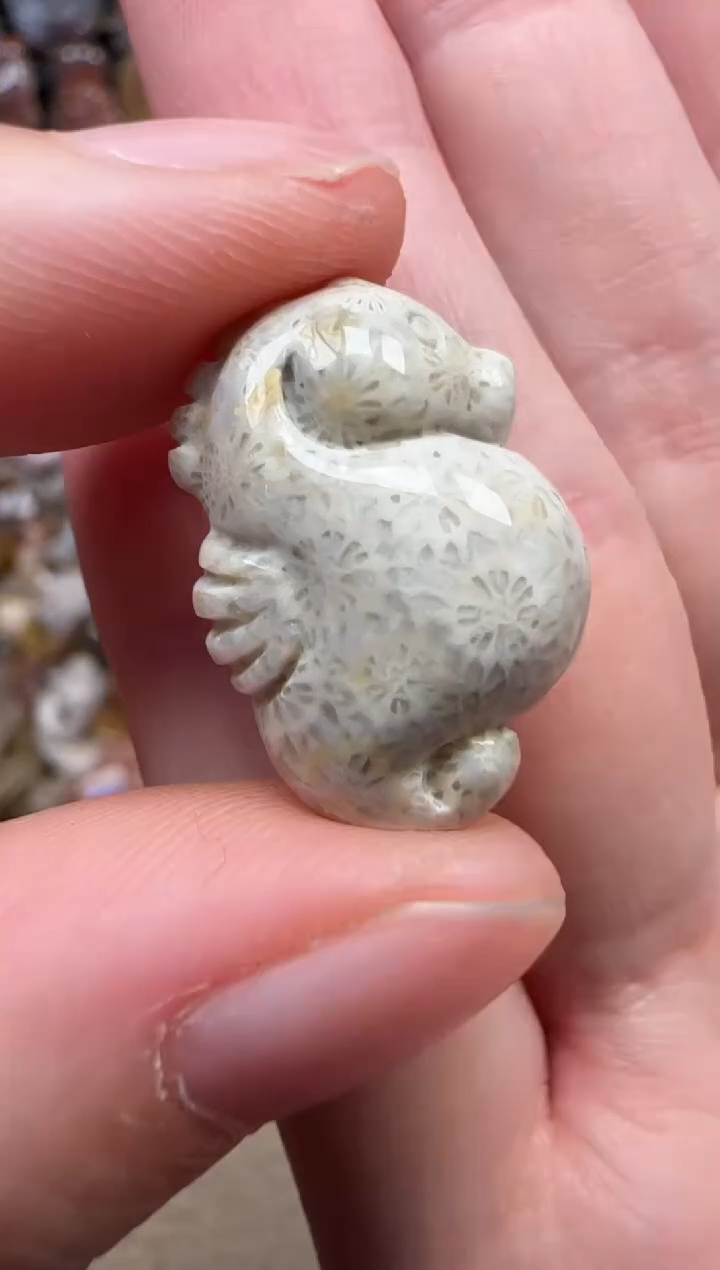 颈饰未镶嵌硅化珊瑚（珊瑚玉）495