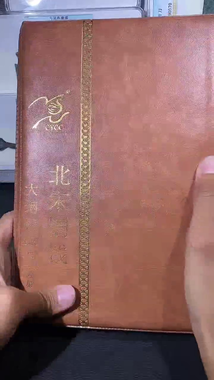 【闪购商品】金琪珍北宋大纲120枚