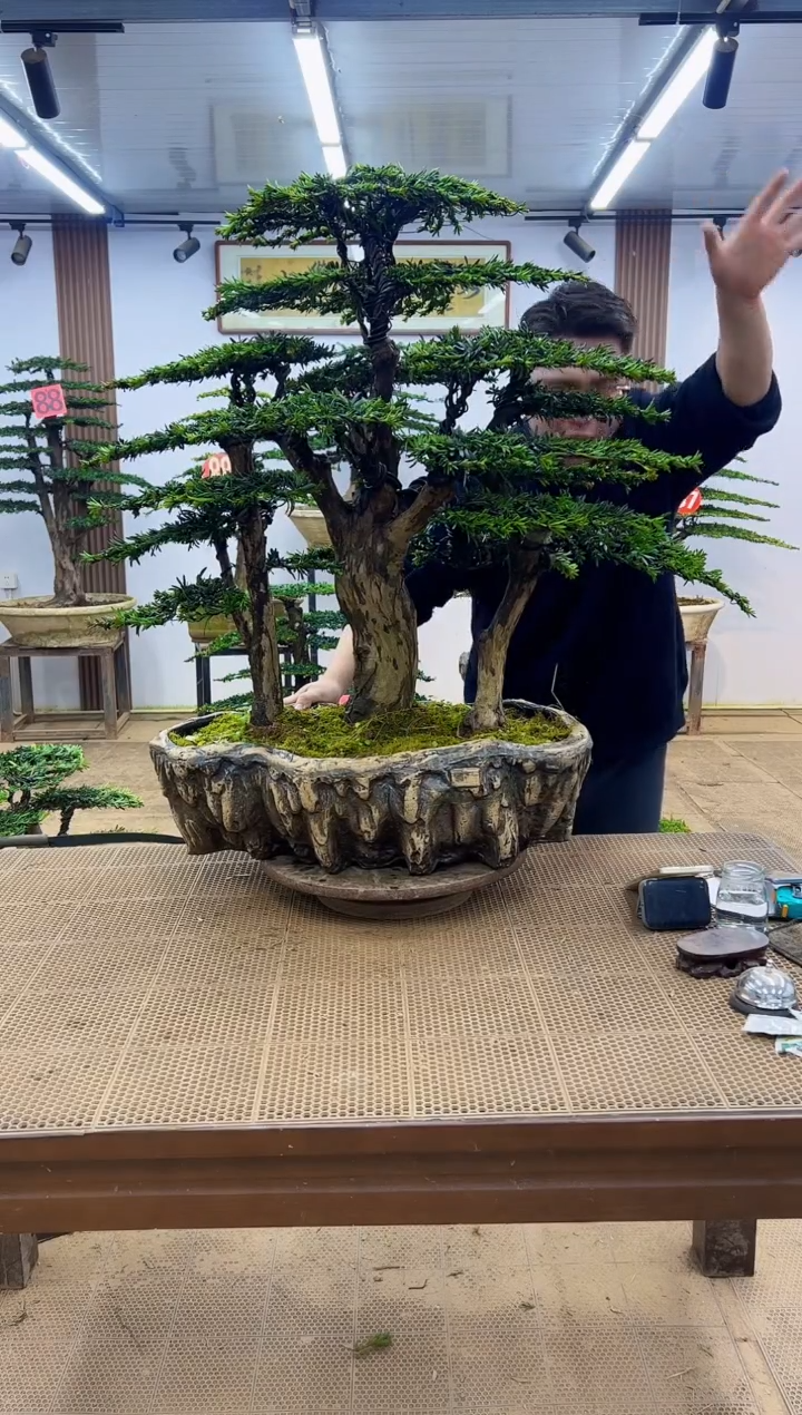 无花朵000000000000