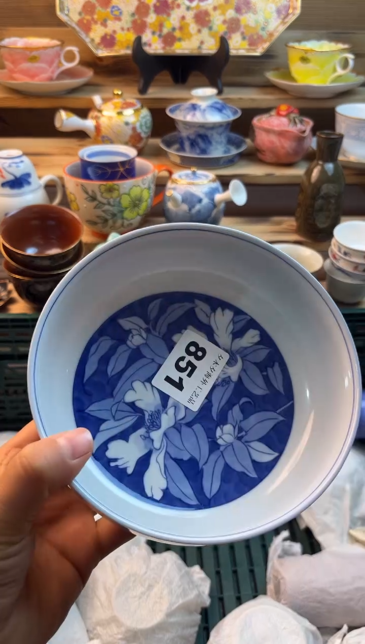 【闪购商品】瓷片瓷器          851