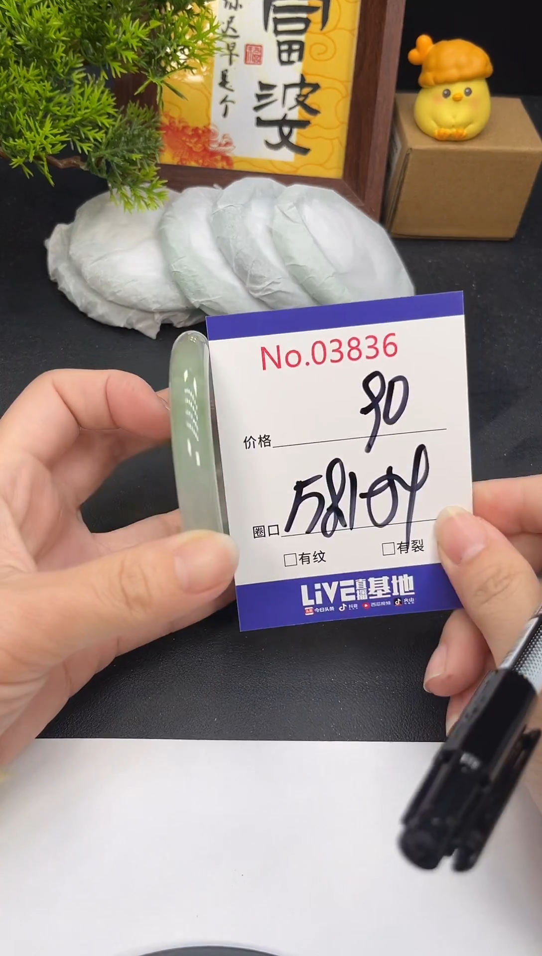 未镶嵌手镯翡翠3836