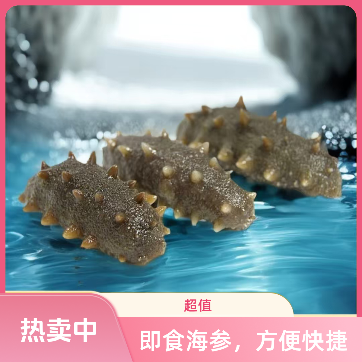 锦盛铭洋【福利款】大连即食海参12-14头刺少肉厚营养美味