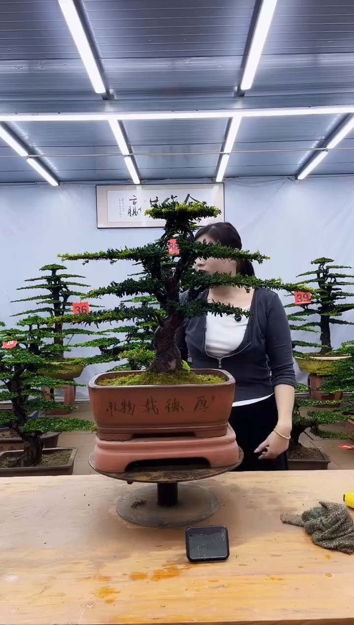 无花朵一物一拍，所见即所得