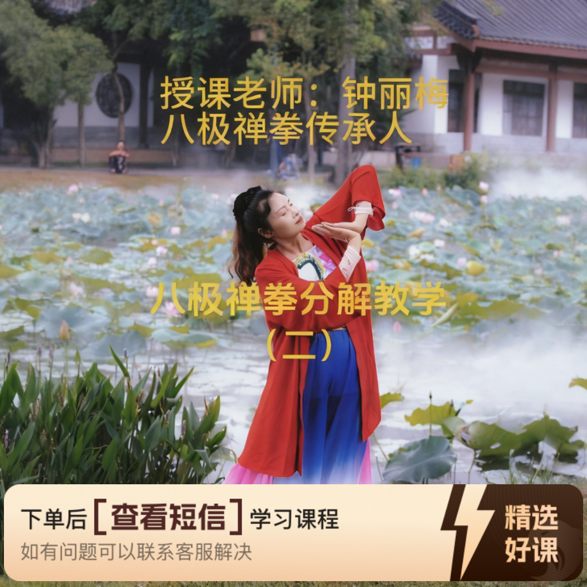 钟丽梅八极禅拳分解教学（二）（留意短信解锁课程）