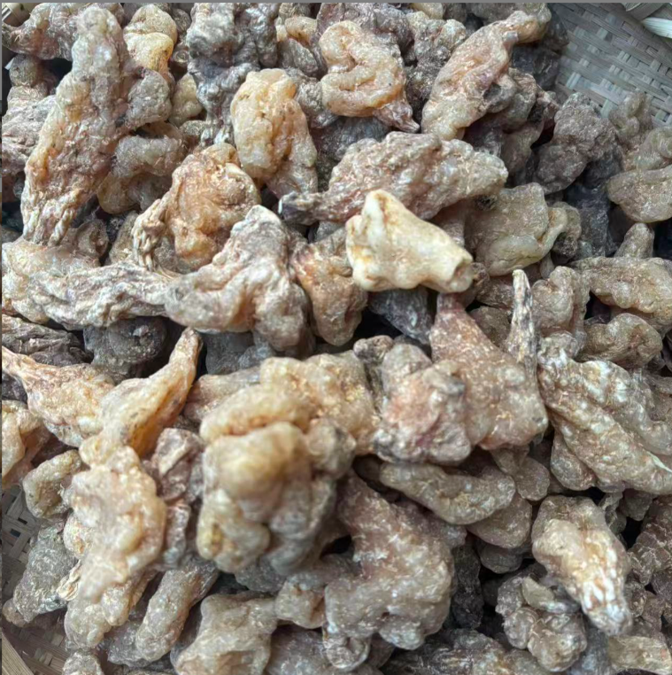 【静静山货】  玉精灵   云南高黎贡山下山货