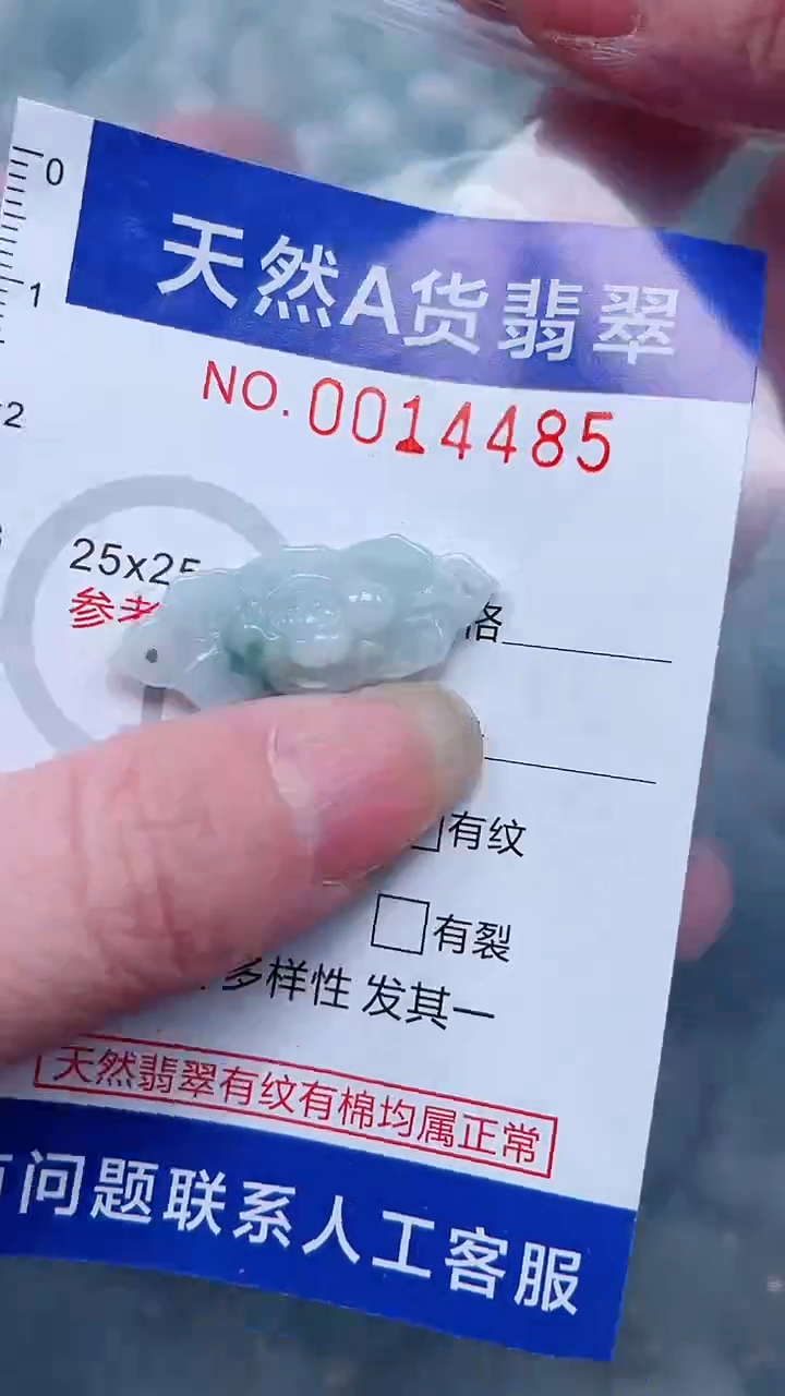 翡翠未镶嵌吊坠(不含链)1