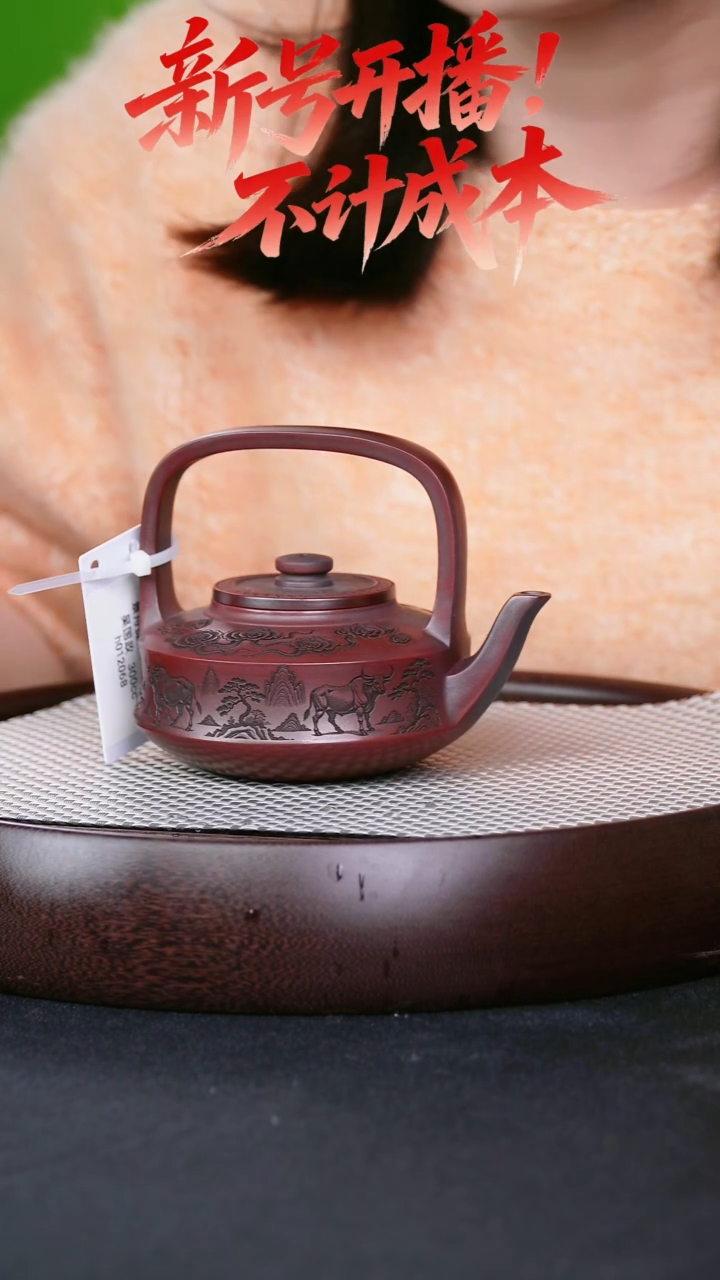 茶壶紫砂宜兴紫砂壶景舟提梁