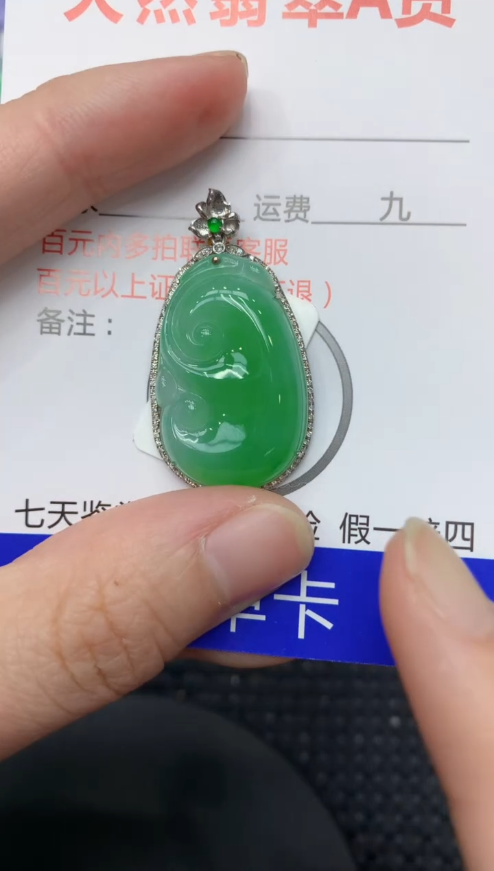 【闪购商品】翡翠颈饰18K金镶嵌1111111111