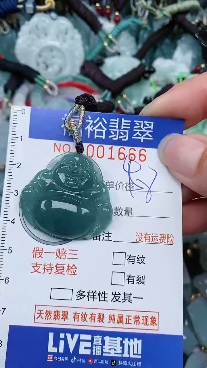 翡翠未镶嵌颈饰...0001666