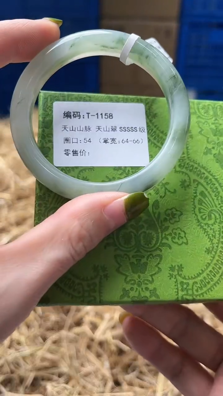 未镶嵌手镯石英质玉T1158
