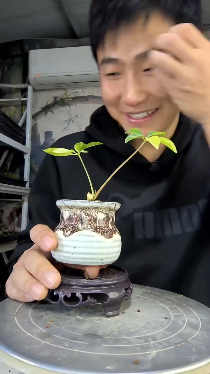 牛*中青园艺一物一拍花66