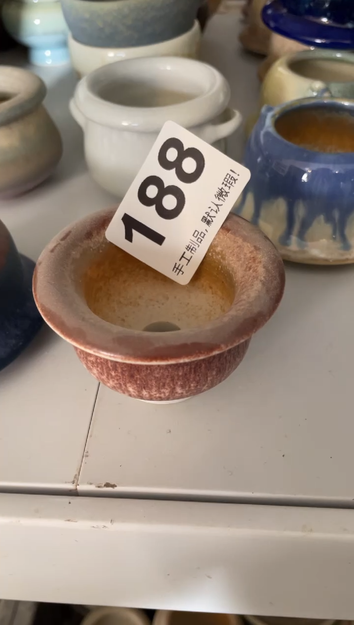 瓷片雪****斯188小芳花盆直播编号