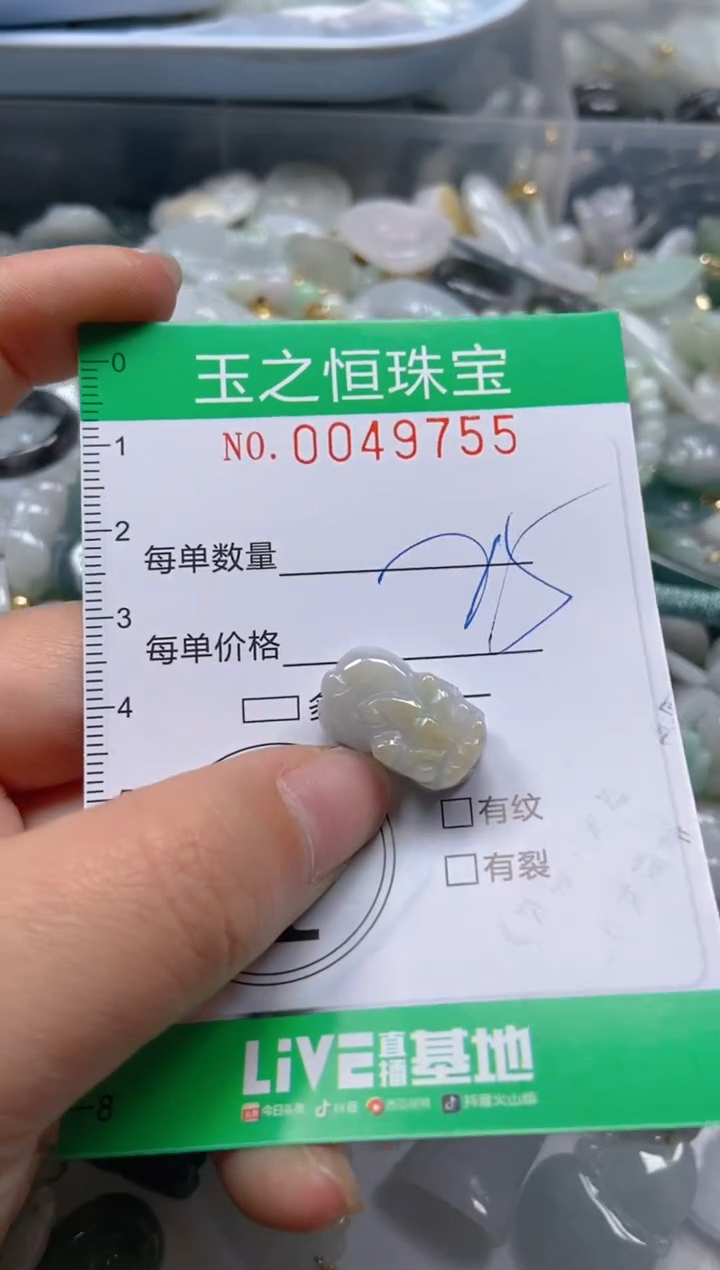 【闪购商品】翡翠颈饰未镶嵌闪购0049755