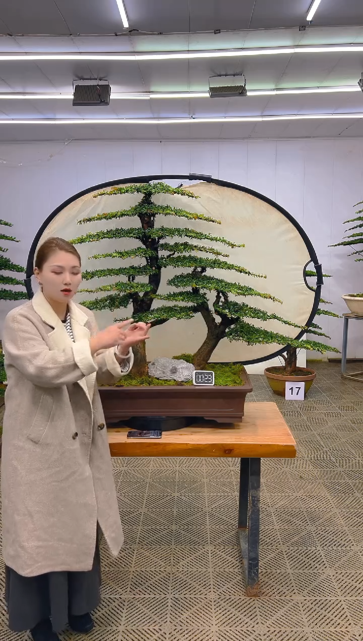 无花朵一物一拍一物一拍
