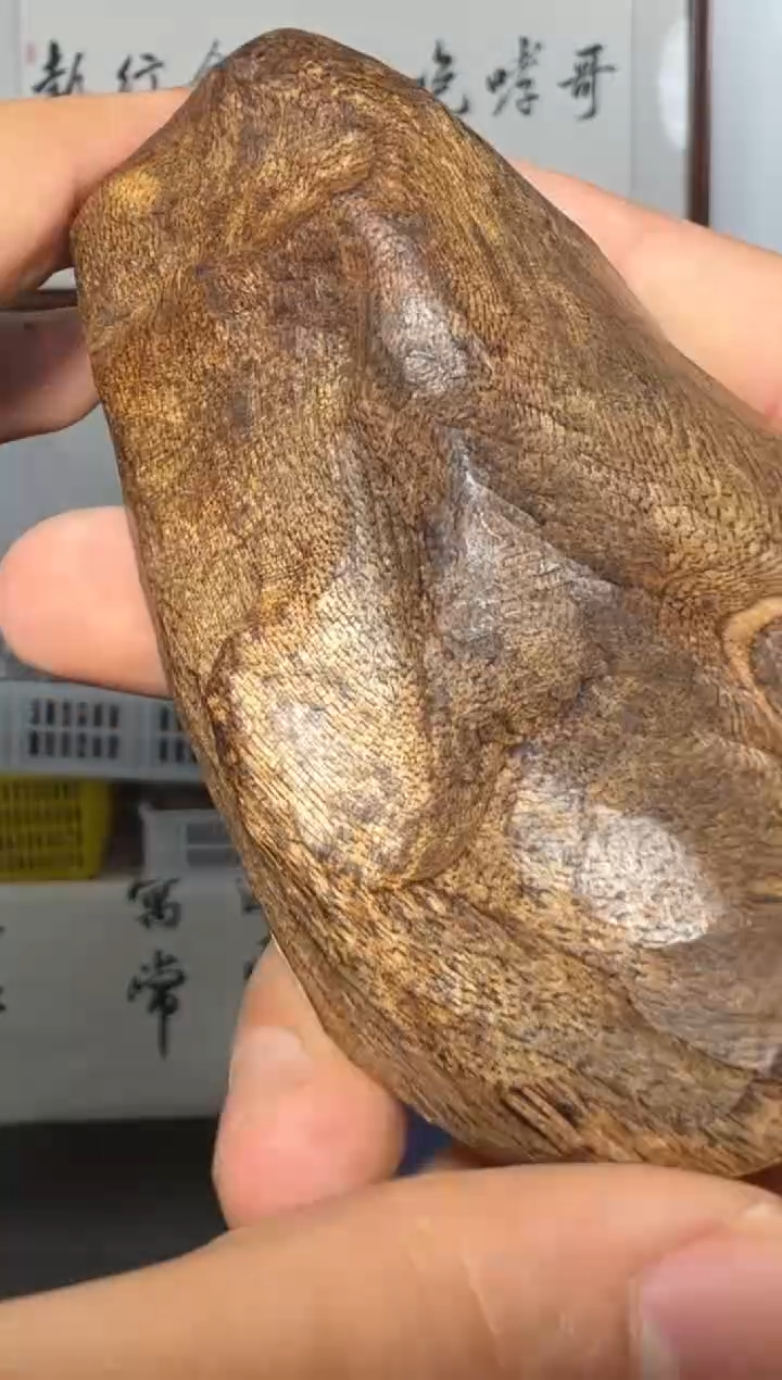 摆件沉香a66号多样性发一