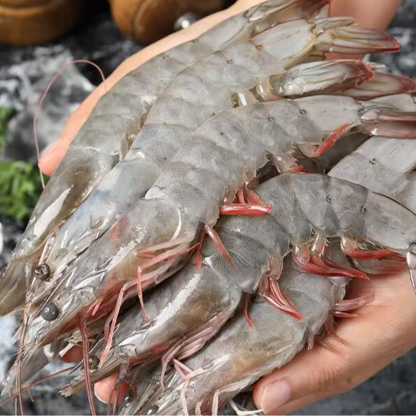 【青岛大虾4斤】海水大虾 肉质鲜嫩大个头海水大虾单只15~18cm4斤共50~60只海虾