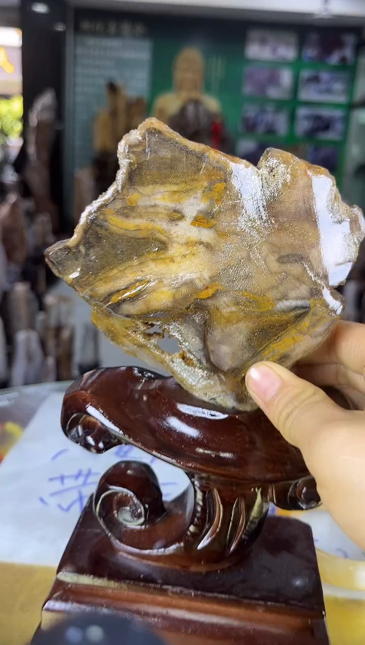 缅甸天然树化玉精品居家摆件