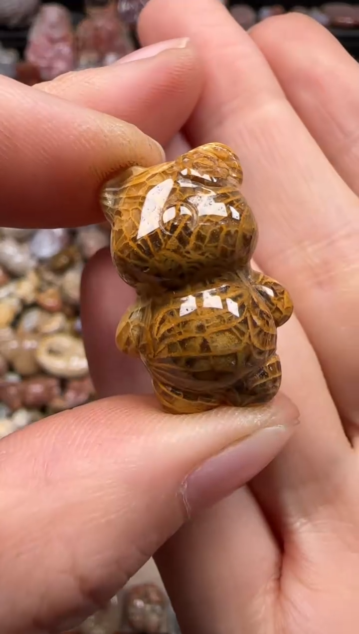 【闪购商品】硅化珊瑚（珊瑚玉）颈饰未镶嵌487