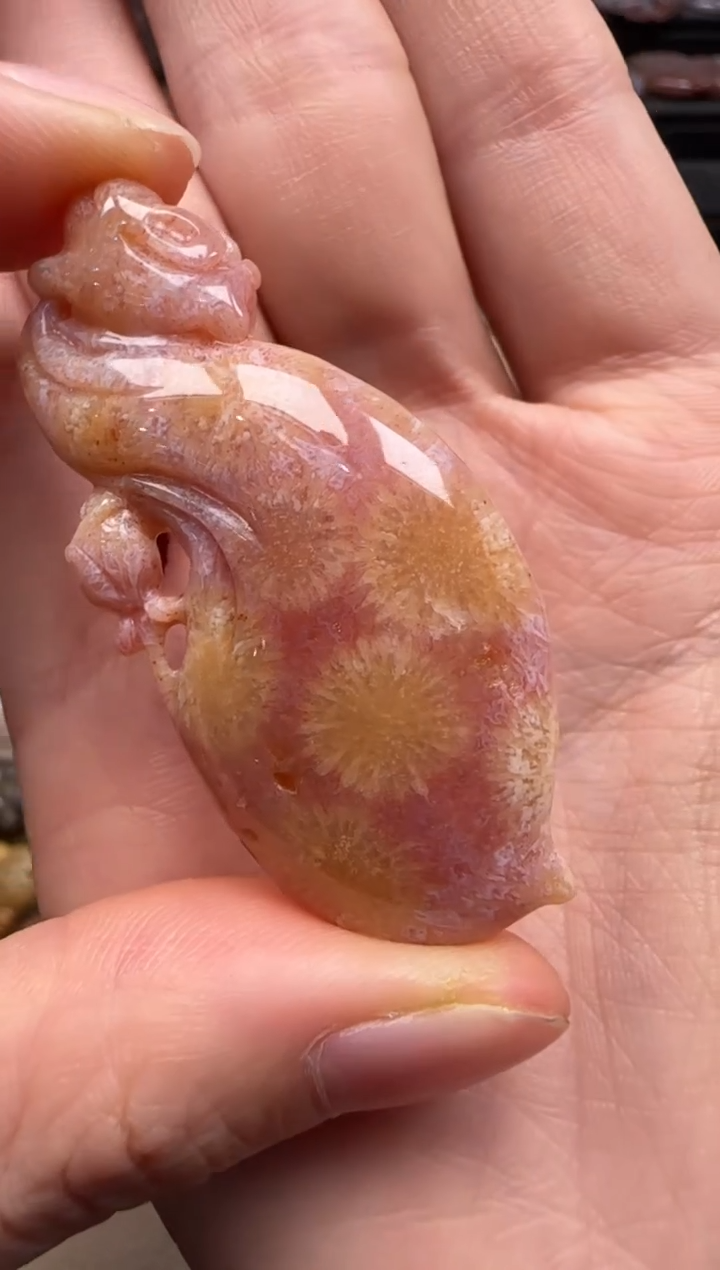 【闪购商品】硅化珊瑚（珊瑚玉）颈饰未镶嵌423