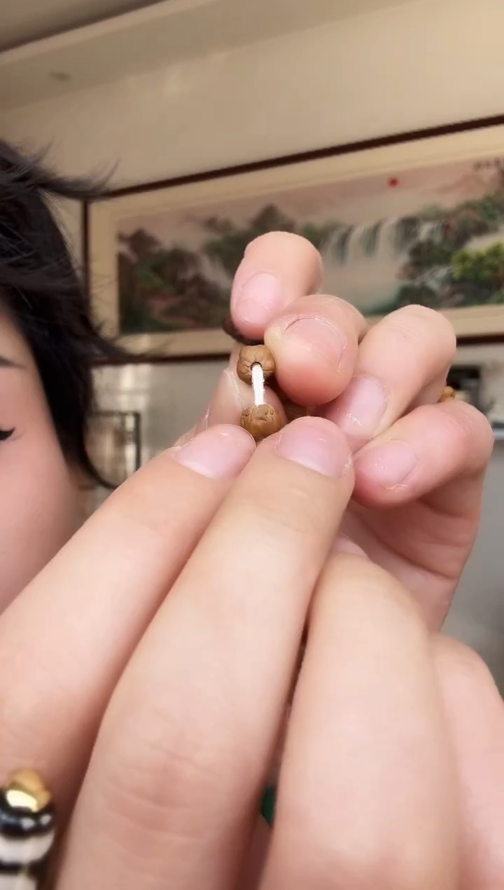 手串金刚菩提原装玄武佛手三日红小金刚108