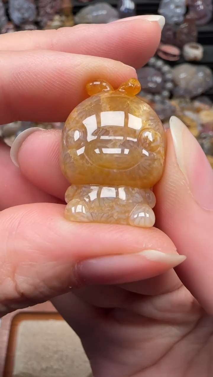 颈饰未镶嵌硅化珊瑚（珊瑚玉）630