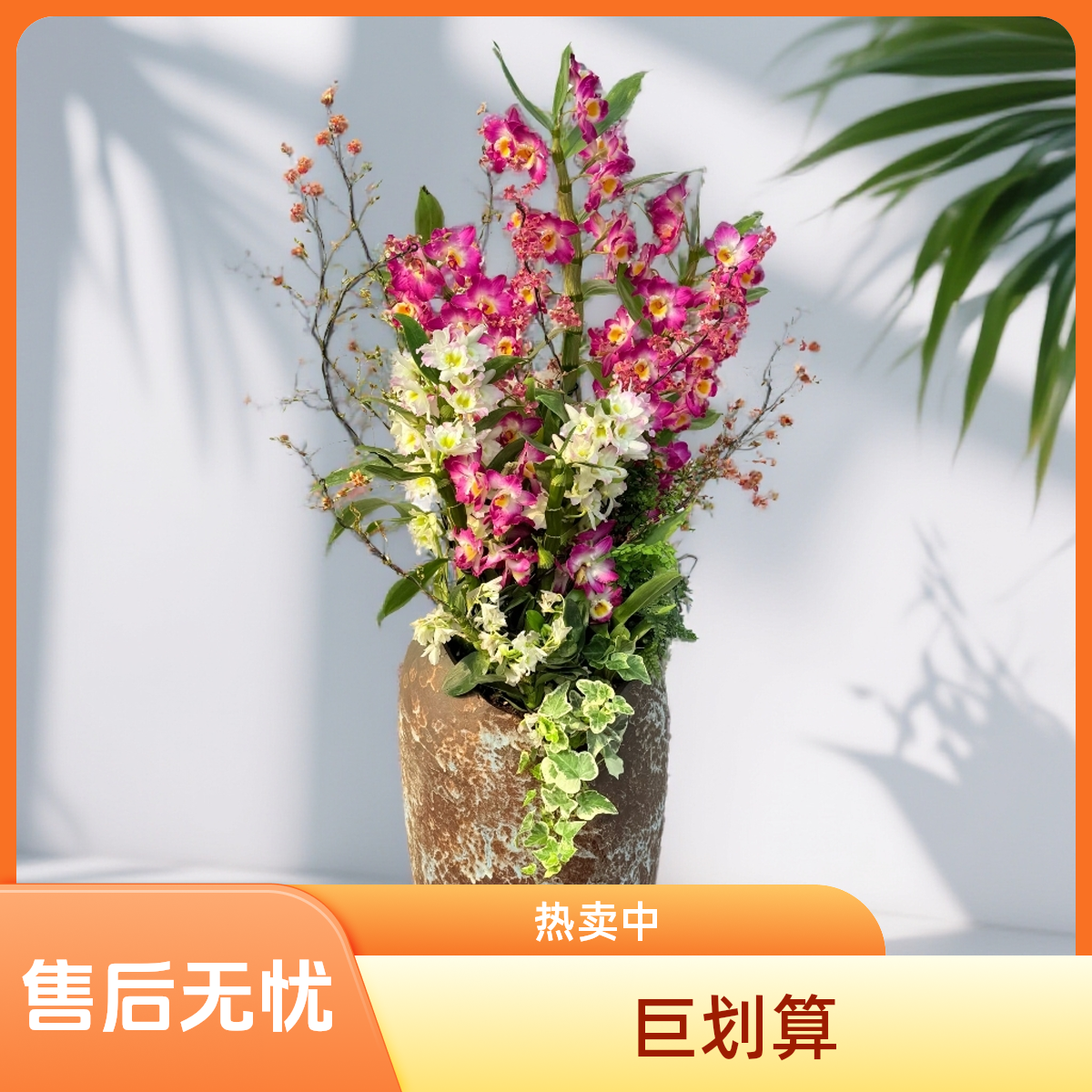 精美石斛兰组合盆栽