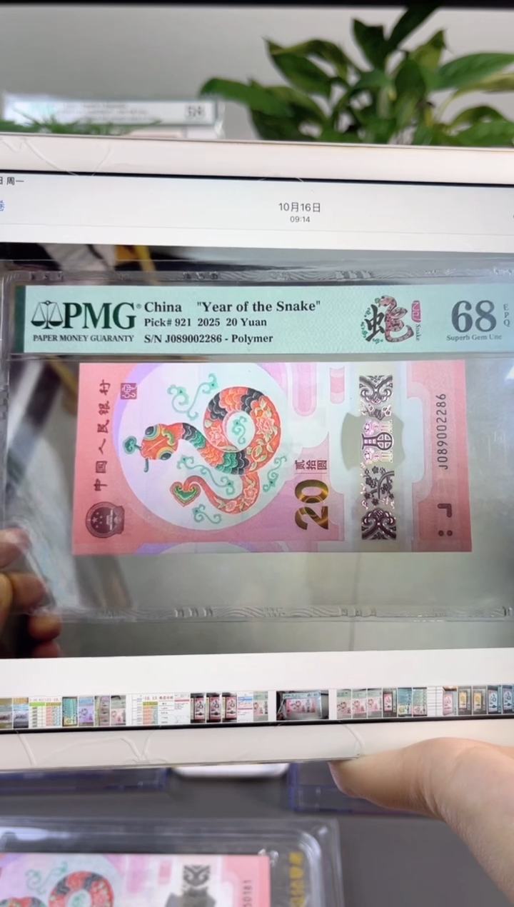 塑料蛇钞龙珠 68分 J089002286