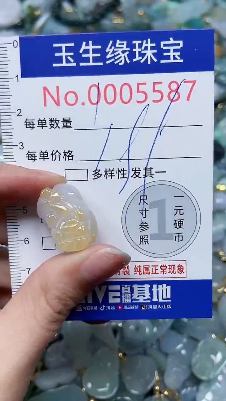 【闪购商品】翡翠颈饰未镶嵌闪购5587