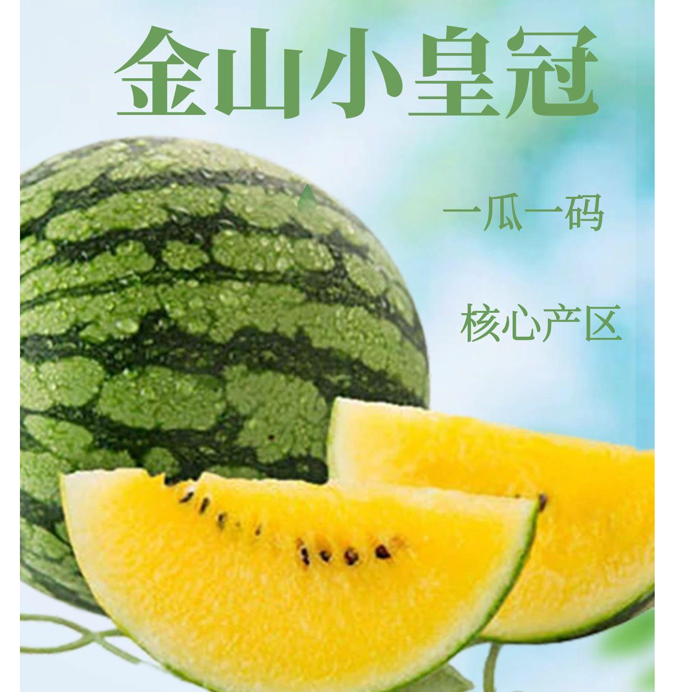 【金山农联一瓜一码】上海头茬金山小皇冠西瓜