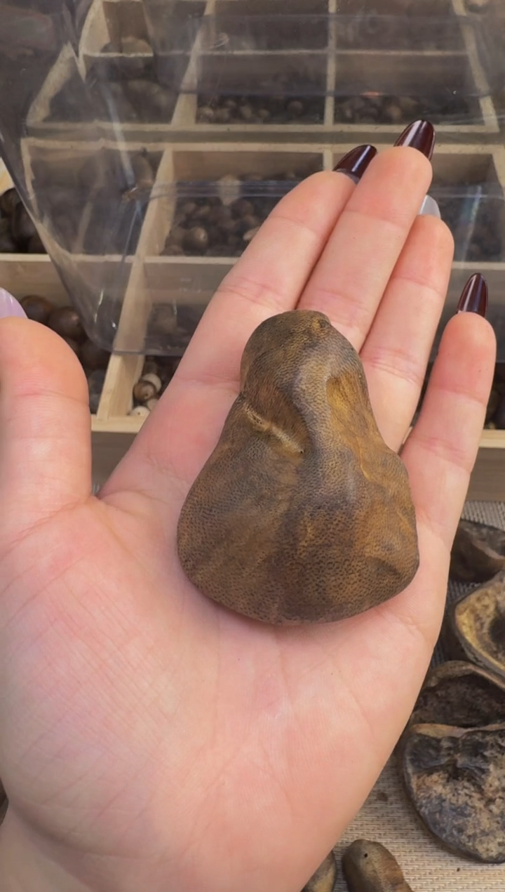 【闪购商品】沉香吊坠海南高山包头料