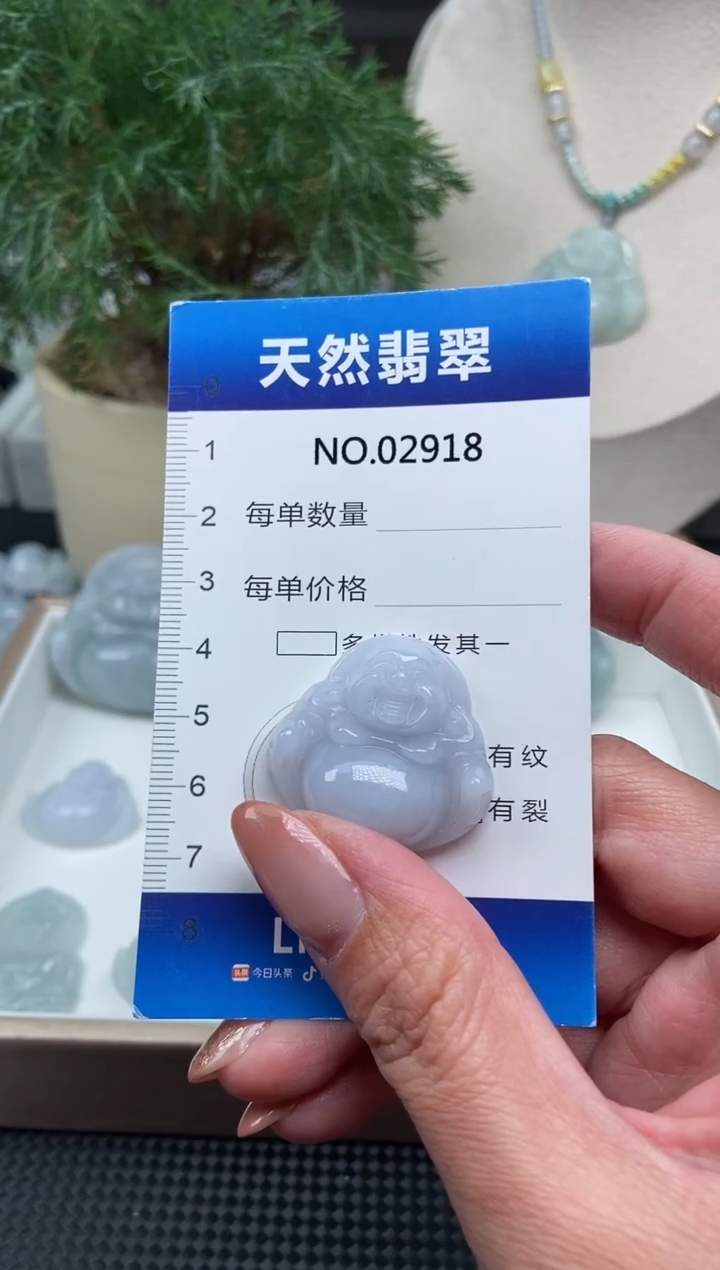 颈饰未镶嵌翡翠纯天然A货缅翡2918