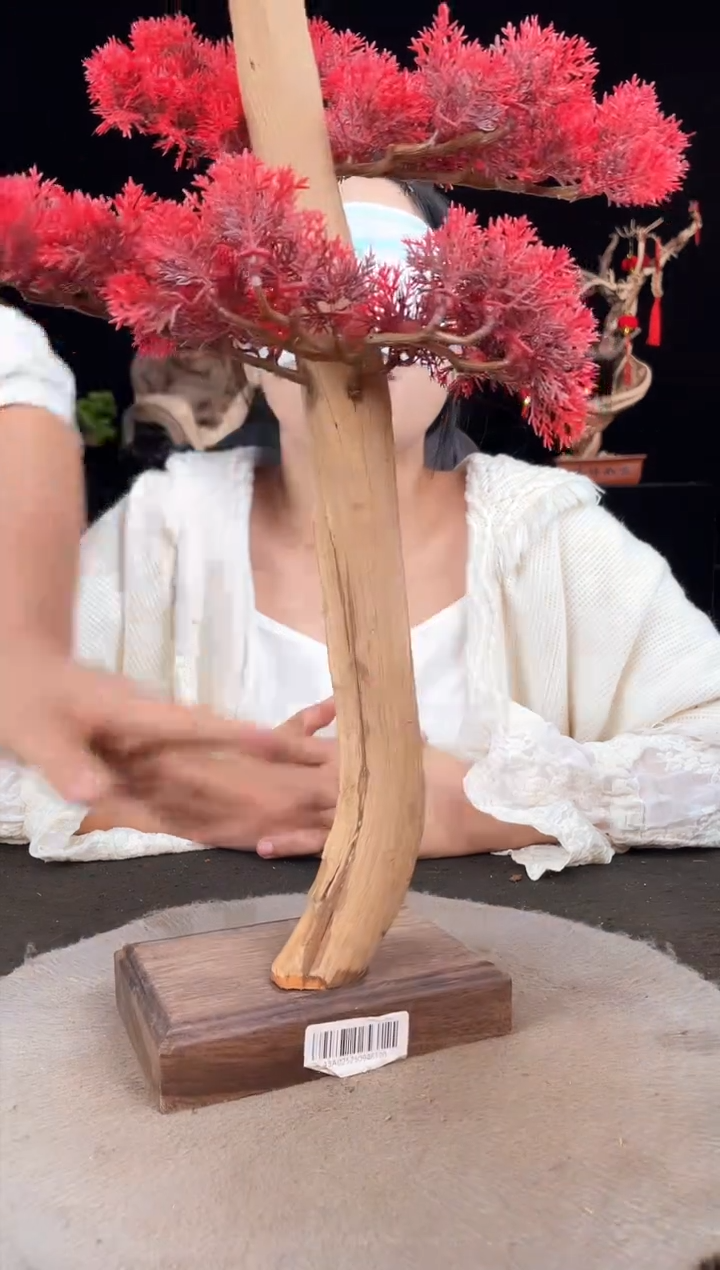 【闪购商品】柏木（崖柏）其他手工摆件,先抢先得!