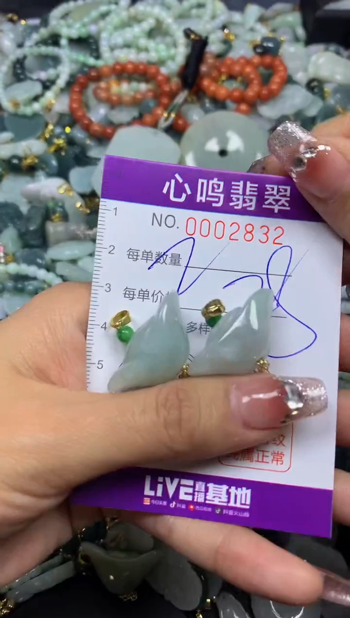 【闪购商品】翡翠颈饰未镶嵌闪购002832