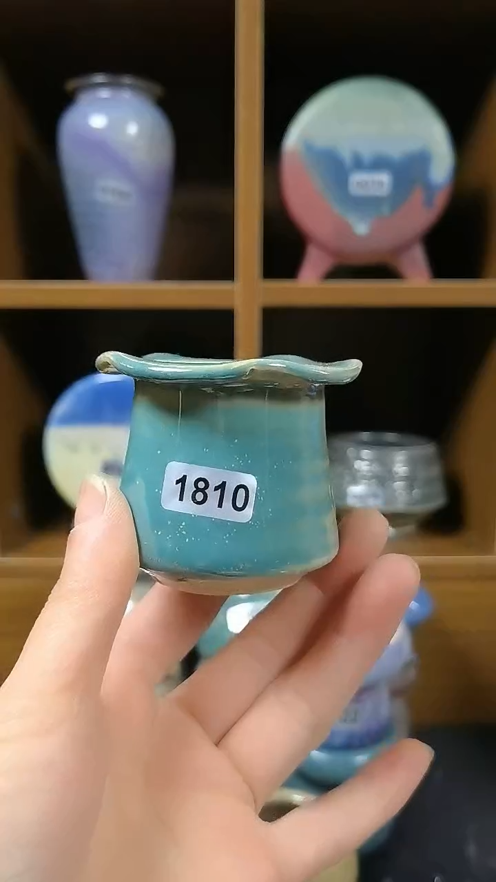 【闪购商品】红陶1810