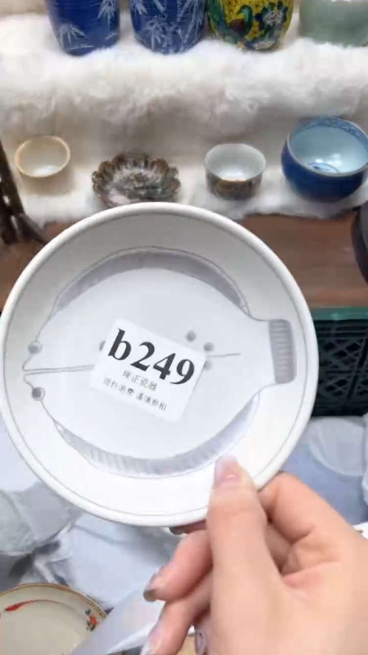 【闪购商品】瓷片          b249
