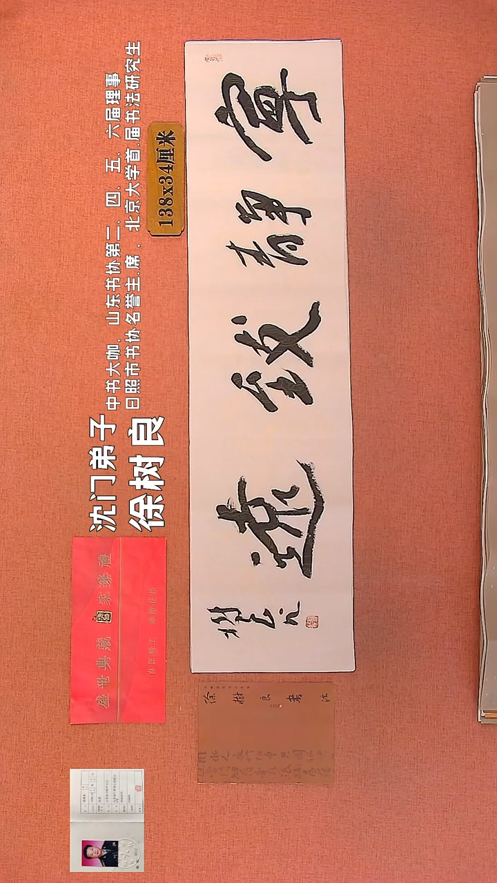 【闪购商品】书法119    徐树良老师作品