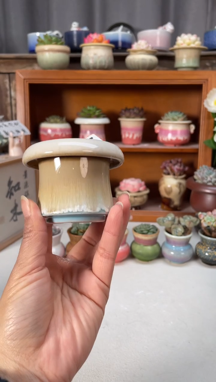 瓷片025知木小芳花盆