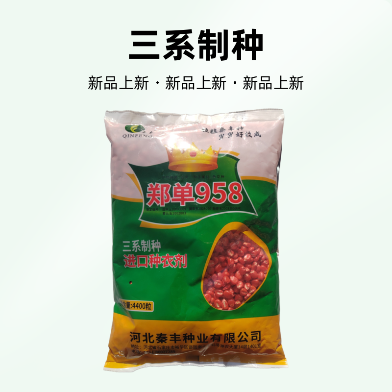 白轴农作物玉米种子三系制种郑单958国审玉米种