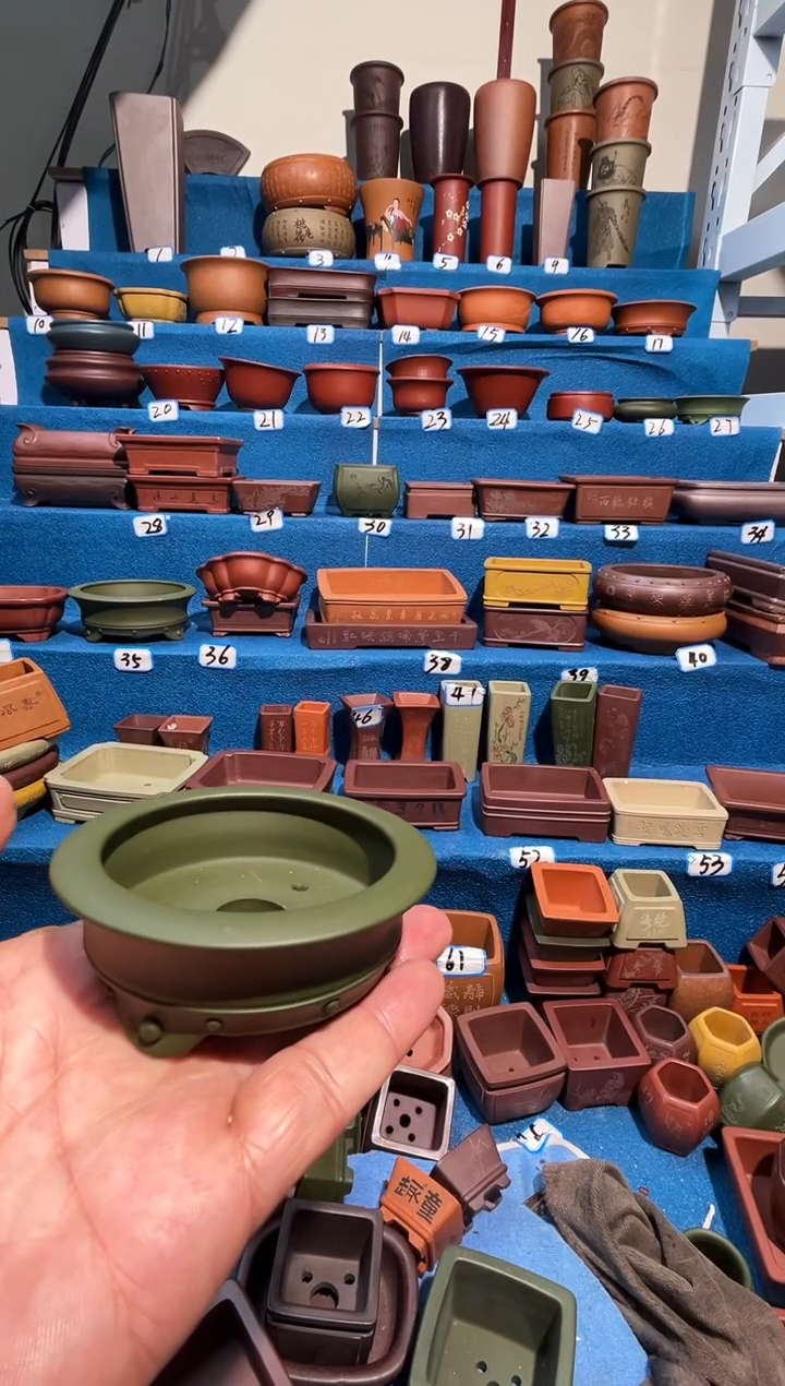 【闪购商品】紫砂紫砂花盆6.5*2