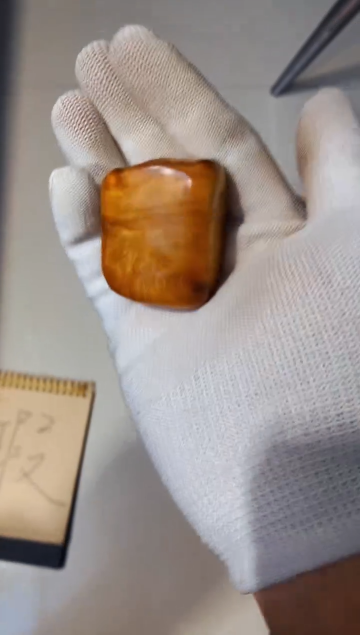 香榧木46崖柏崖柏崖柏