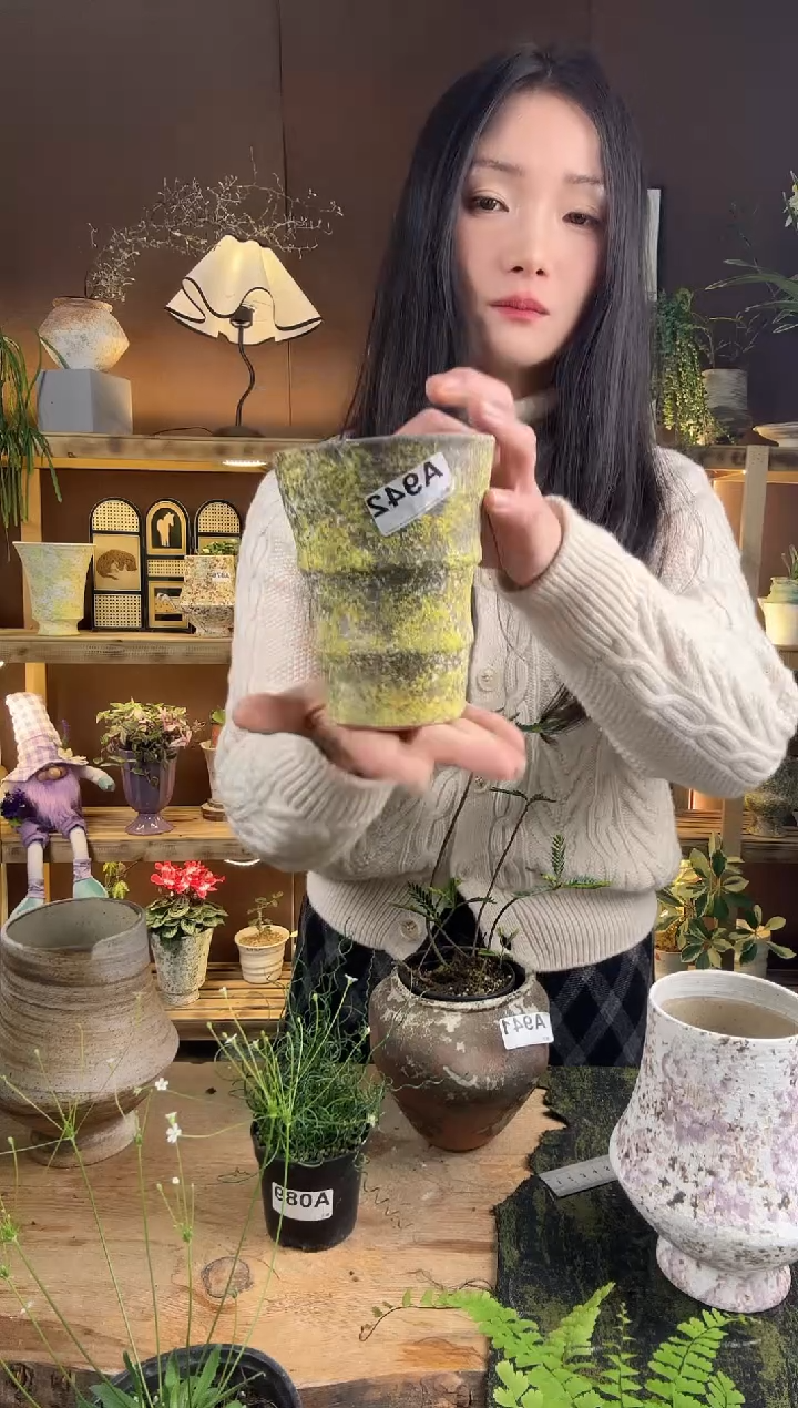 以实际为准し****༻编号942 景德镇手工手绘花盆