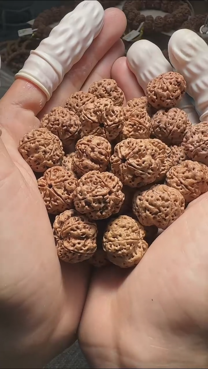 金刚菩提手串龙牙梅花20mm散籽30颗+