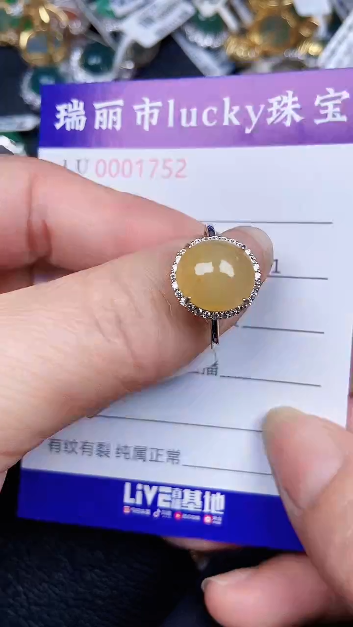 颈饰银S925镶嵌翡翠1752