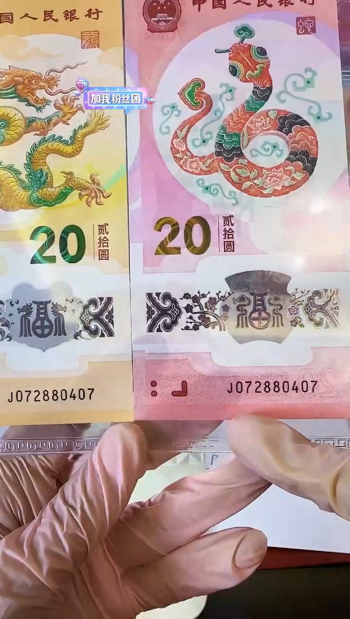 【闪购商品】塑料2025蛇钞全同号啊啊啊啊啊啊啊啊啊啊裸